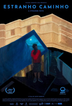 Странный путь